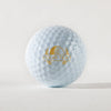 Stamtechs Stainless Steel Golf Ball Stamp Set