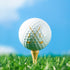 files/11_72aeb1dc-a11a-485f-bf1b-0d2e7e6693b6.jpg